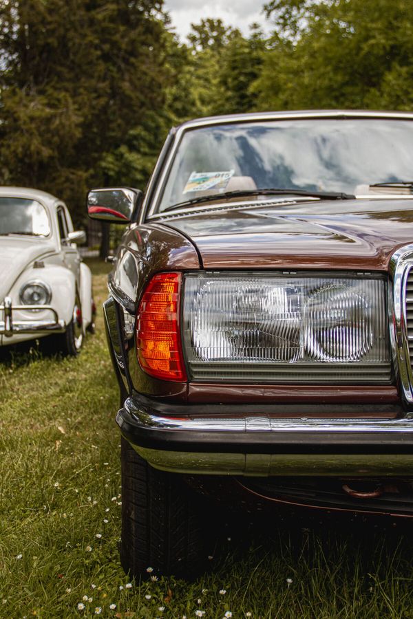Mercedes-Benz W123 na lúke